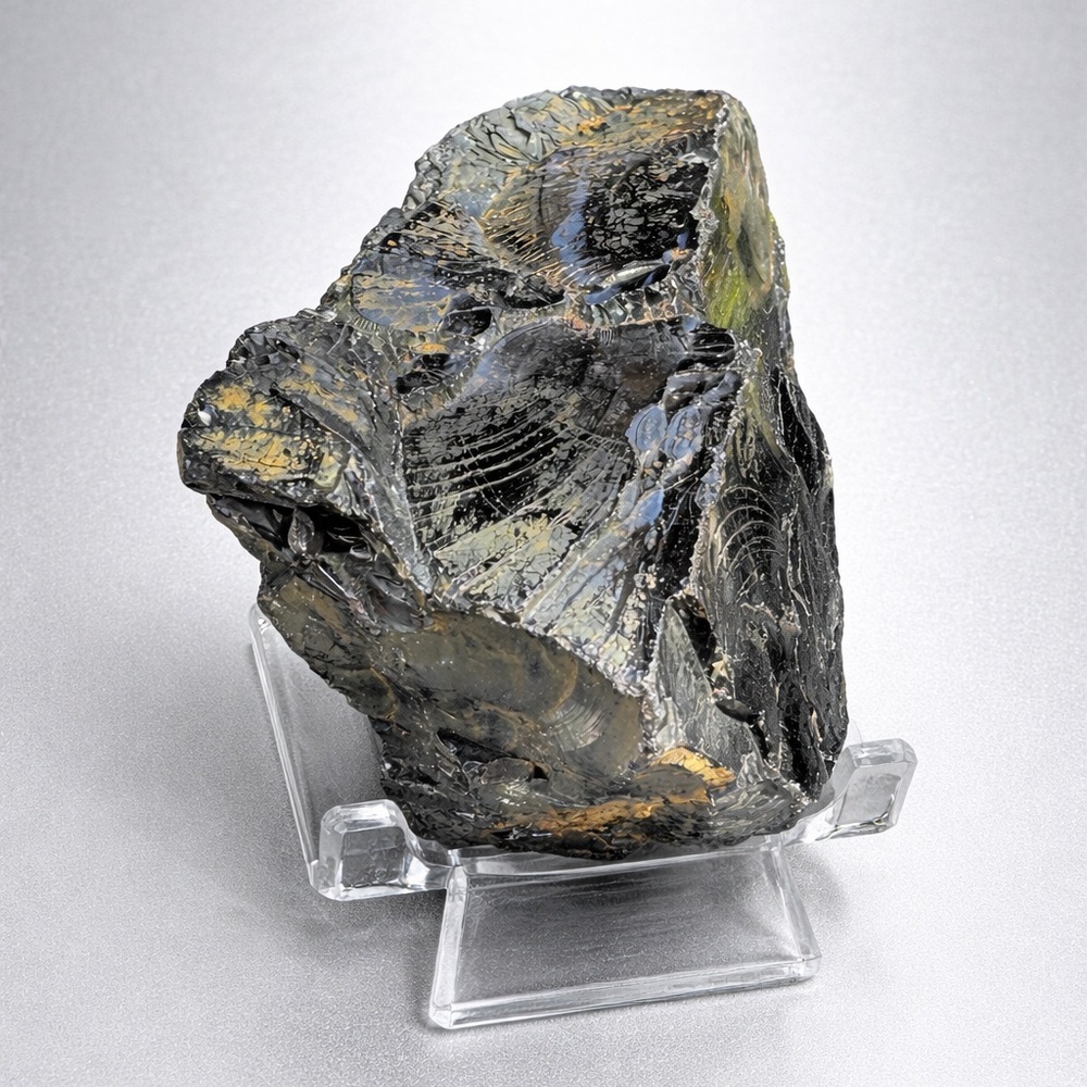 Elite Noble Shungite Raw Specimen